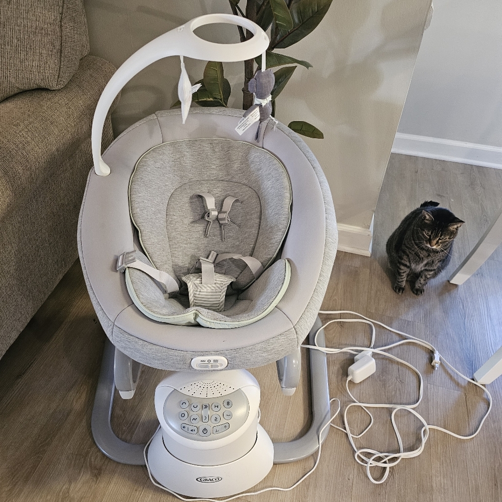 Graco Soothe My Way Baby Swing with Removable Rocker